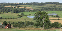 Arques la Bataille (Maisons)