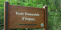 Forêt d'Arques (Panneau 1)