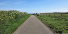 Belleville sur Mer (Route)
