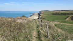 Criel sur Mer (Sentier)