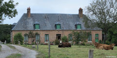 Thiétreville (Taureau)