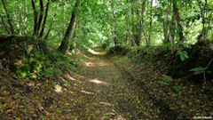 Saint Vaast Dieppedalle (Chemin)