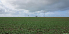 Colleville (Plaine)