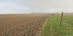 Eletot (Chemin 1)