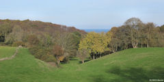Varengeville sur Mer (Valleuse)