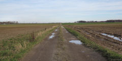 Offranville (Chemin)