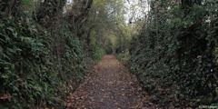 Dieppe (Chemin 1)
