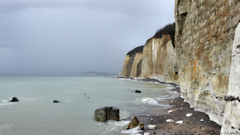 Varengeville sur Mer (Falaises)