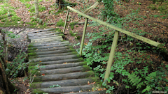 Varengeville sur Mer (Passerelle)