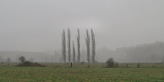 Meulers (Peupliers)