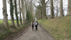 Bertreville Saint Ouen (Chemin)