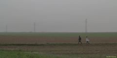 Angiens (Chemin)