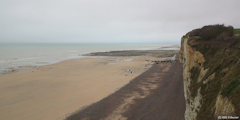 Sotteville sur Mer (Estran)