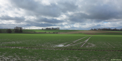 Royville (Plaine)