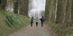 Bertreville Saint Ouen (Chemin)