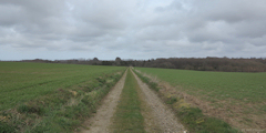 Routes (Chemin)