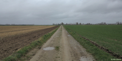 Auppegard (Chemin)