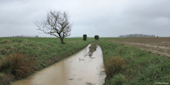 Colmesnil-Manneville (Chemin 1)