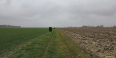 Colmesnil-Manneville (Chemin 2)