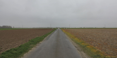 Thil-Manneville (Route)