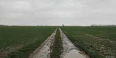 Auppegard (Plaine du Vignot)