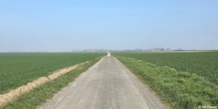 Berneval le Grand (Chemin)