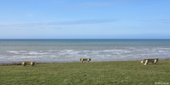 Saint Martin en Campagne (Bancs)