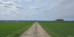 Saint Aubin sur Scie (Chemin)
