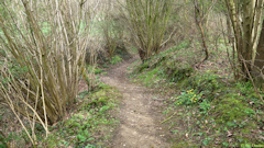 Offranville (Sentier)