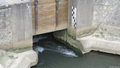 Hautot sur Mer (Buse)