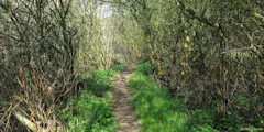 Offranville (Sentier)