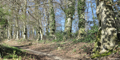 Saint Aubin sur Scie (Chemin)