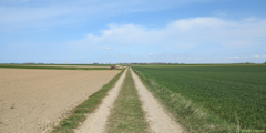 Grèges (Chemin 2)