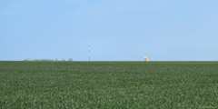 Ancourt (Plaine)