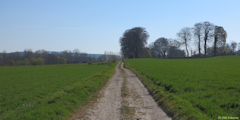Martin-Eglise (Chemin 1)