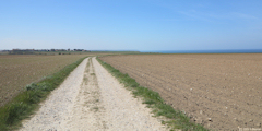 Berneval le Grand (Chemin)