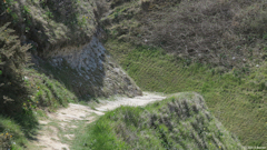 Berneval le Grand (Chemin 2)