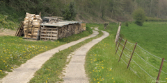 Offranville (Chemin)