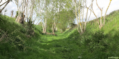 Greuville (Chemin)