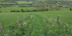 Saint Hellier (Chemin)