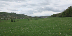 Saint Hellier (Vallée)