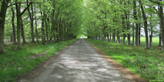 Les Cent Acres (Chemin)