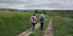 Saint Martin le Gaillard (Chemin 1)