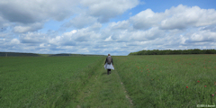 Sahurs (Chemin)