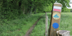 Saint Pierre de Manneville (Chemin 1)