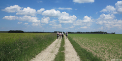 Melleville (Chemin)