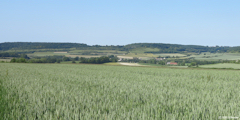 Sept-Meules (Vallée)