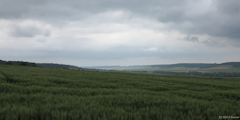 Dancourt (Vallée)