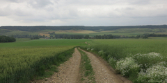 Dancourt (Chemin 1)