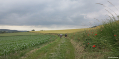 Grandcourt (Chemin 2)
